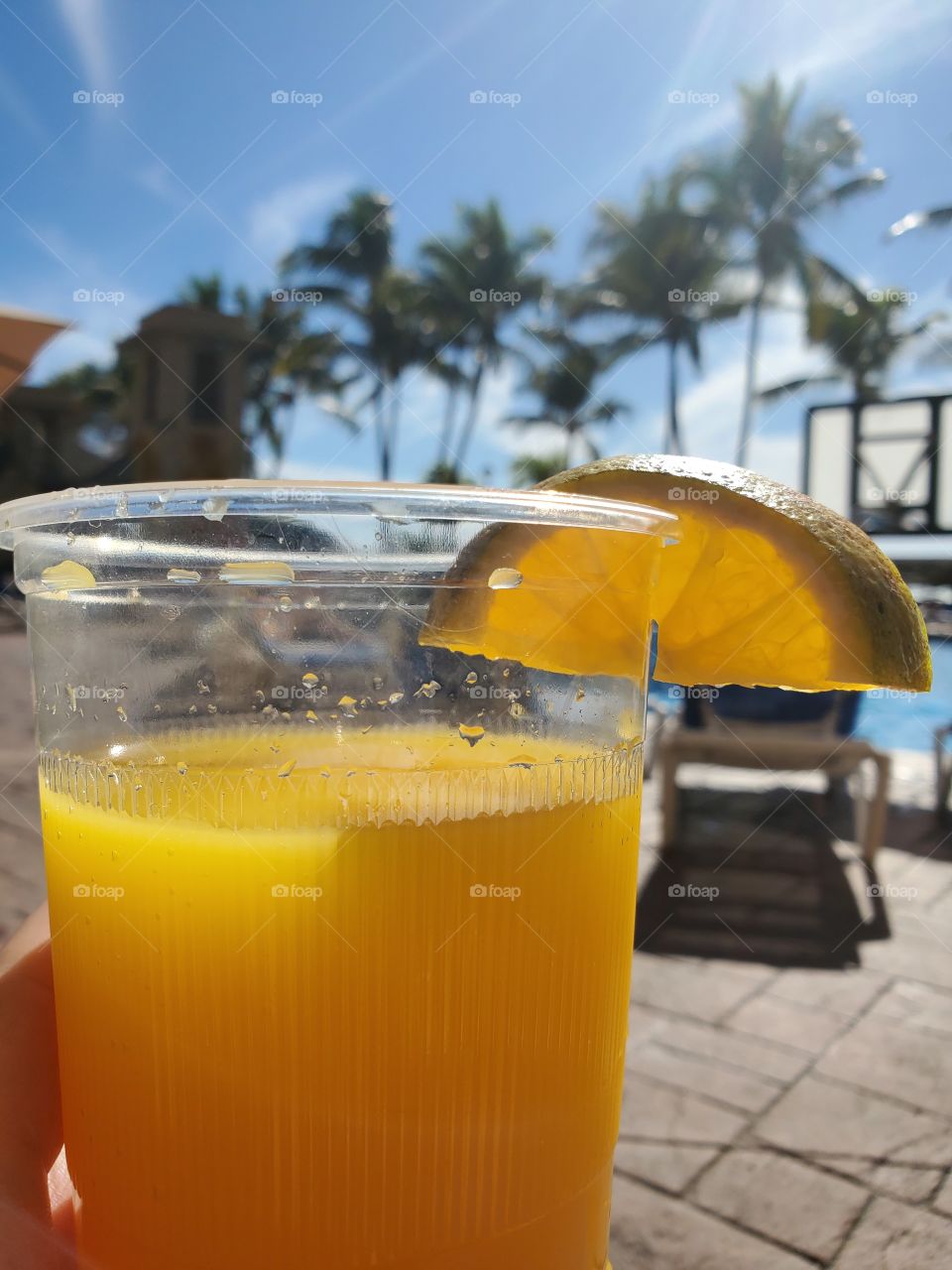 A Fuzzy Navel in Paradise