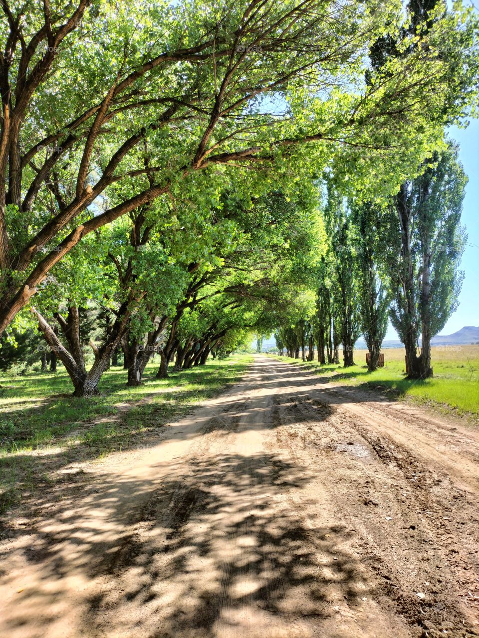 peaceful walk