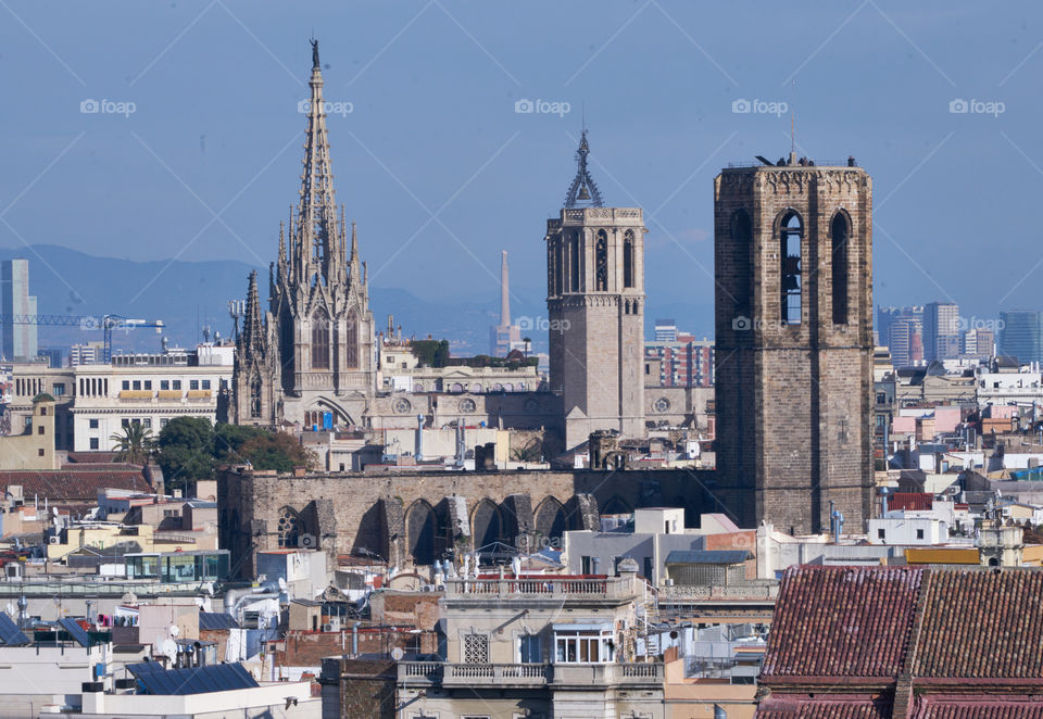 Catedral e Iglesia del Pi