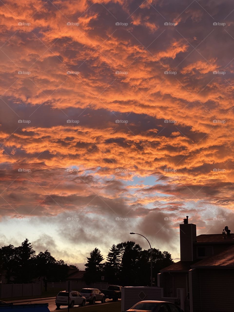 Orange is the new black