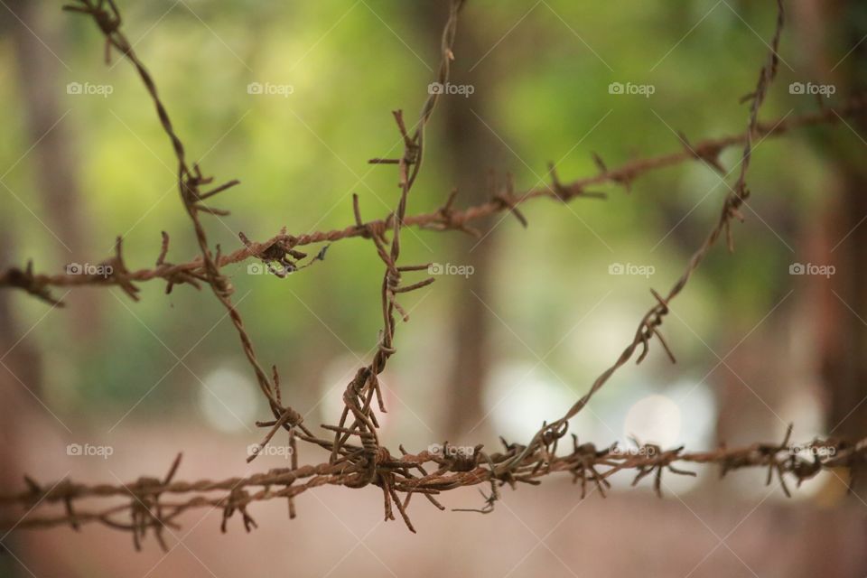 Barbed wire guarding a house in India.