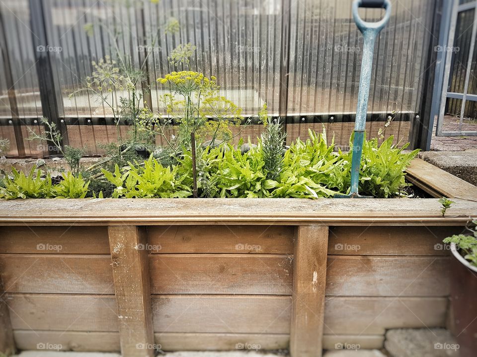 Vegetable Garden raised timber garden bed