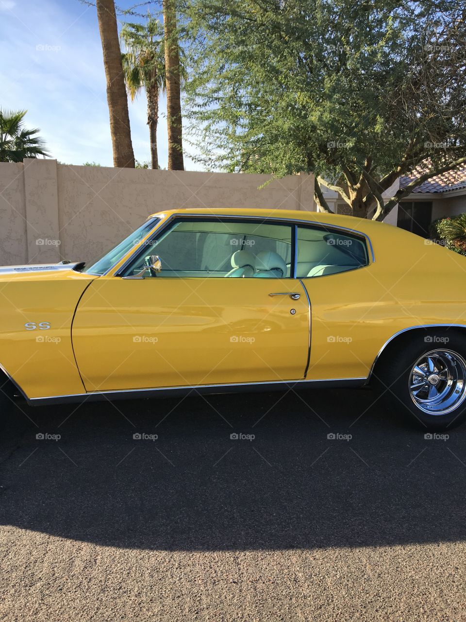 Chevelle super sport