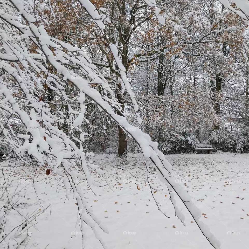 frost