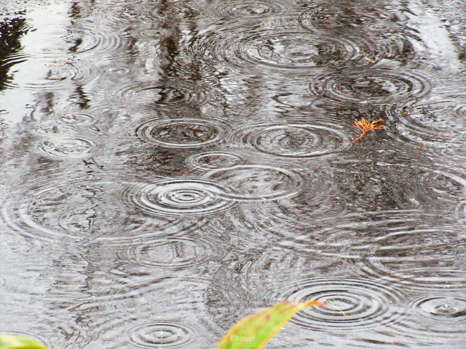 puddle with rain rings