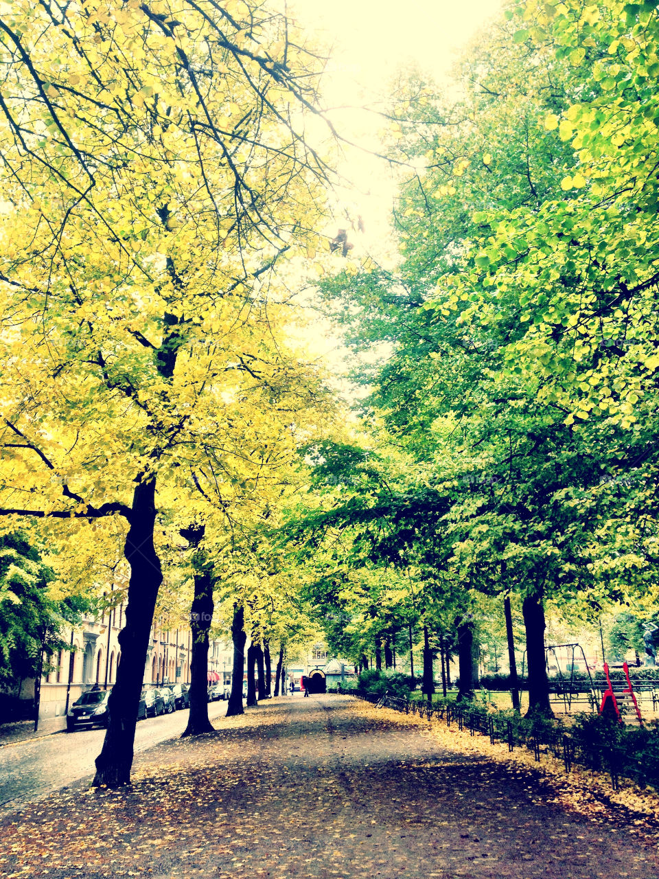 street green sweden city by piaktw