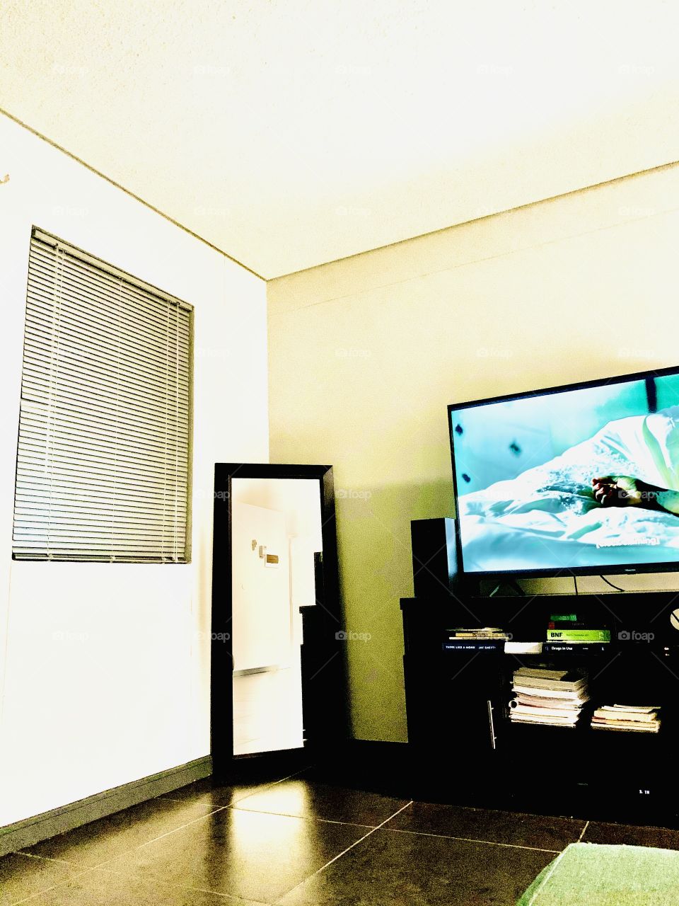 Just a corner of my apartment. Mirror is down just right next to the television. My windows are all covered in blinds. 