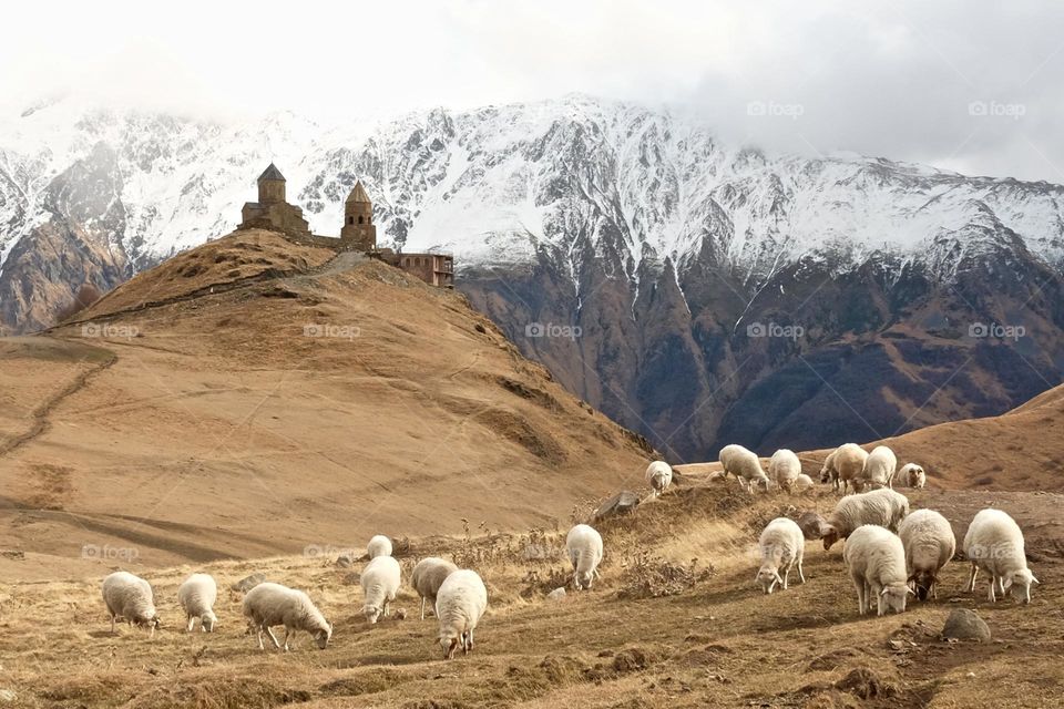 Kazbek , Georgia