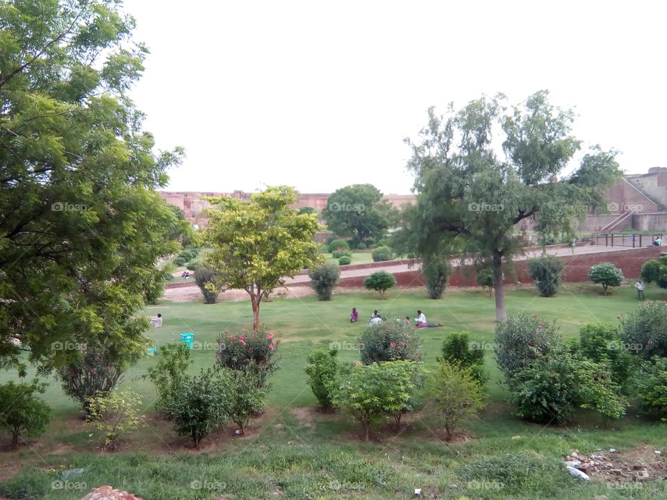 an ancient fort of Bathinda city- a monument protected by Govt Of India- inner part