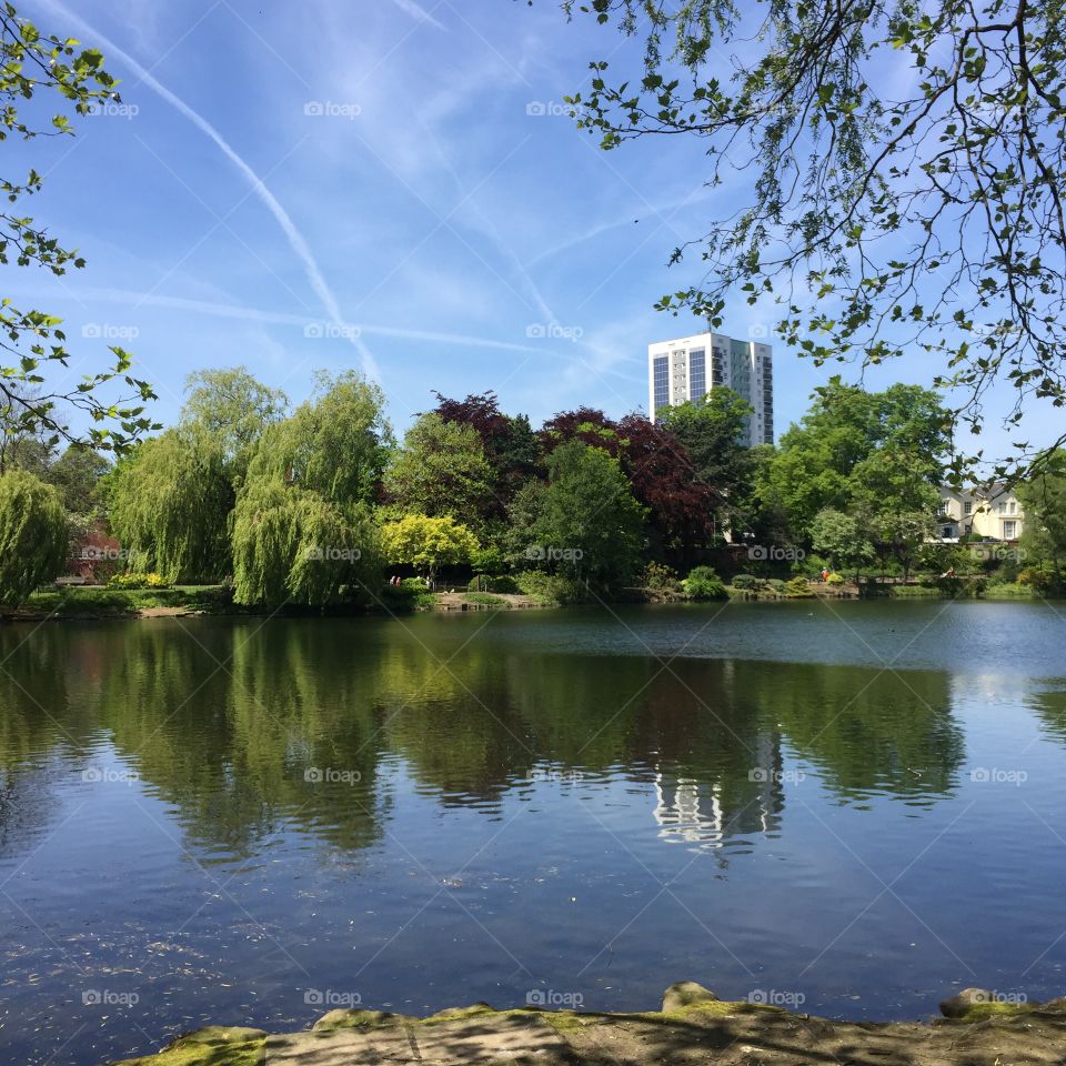 Walsall Arboretum 