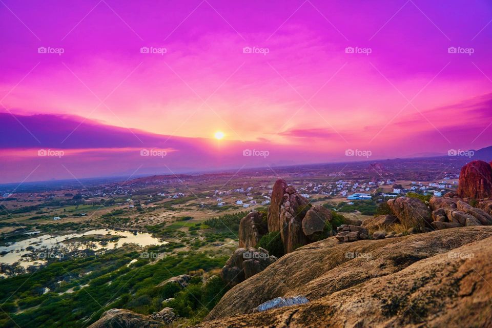 Natural photography - Lavender - Twilight sky 