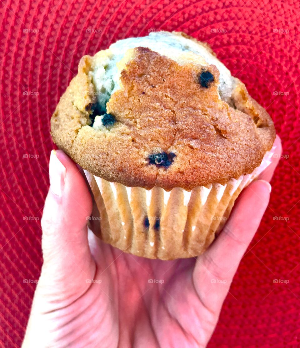  Blueberry Muffin in Hand