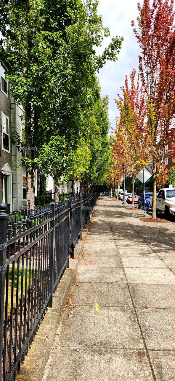 walking view of a suburban neighborhood on a week day afternoon in Oregon at the beginning of Autumn