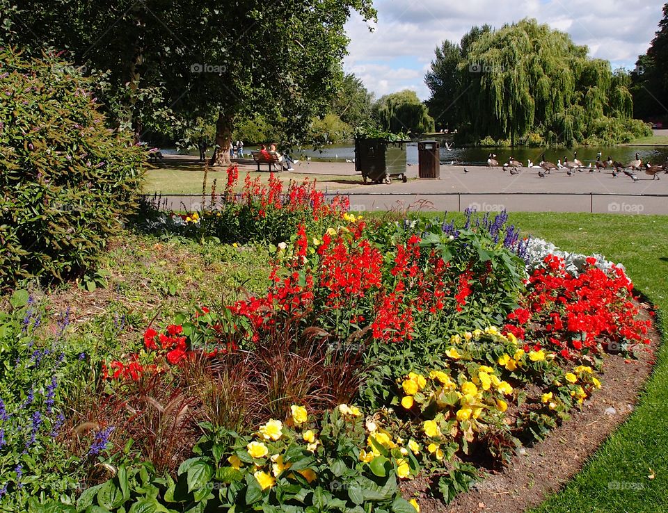 Beautiful bright and colorful flowerbeds in an urban park landscaping on a sunny summer day. 