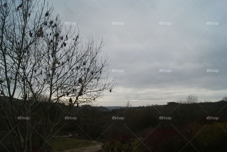 A beautiful view and an amazing start to the new year with the sun out and the plants and trees swaying in the wind.