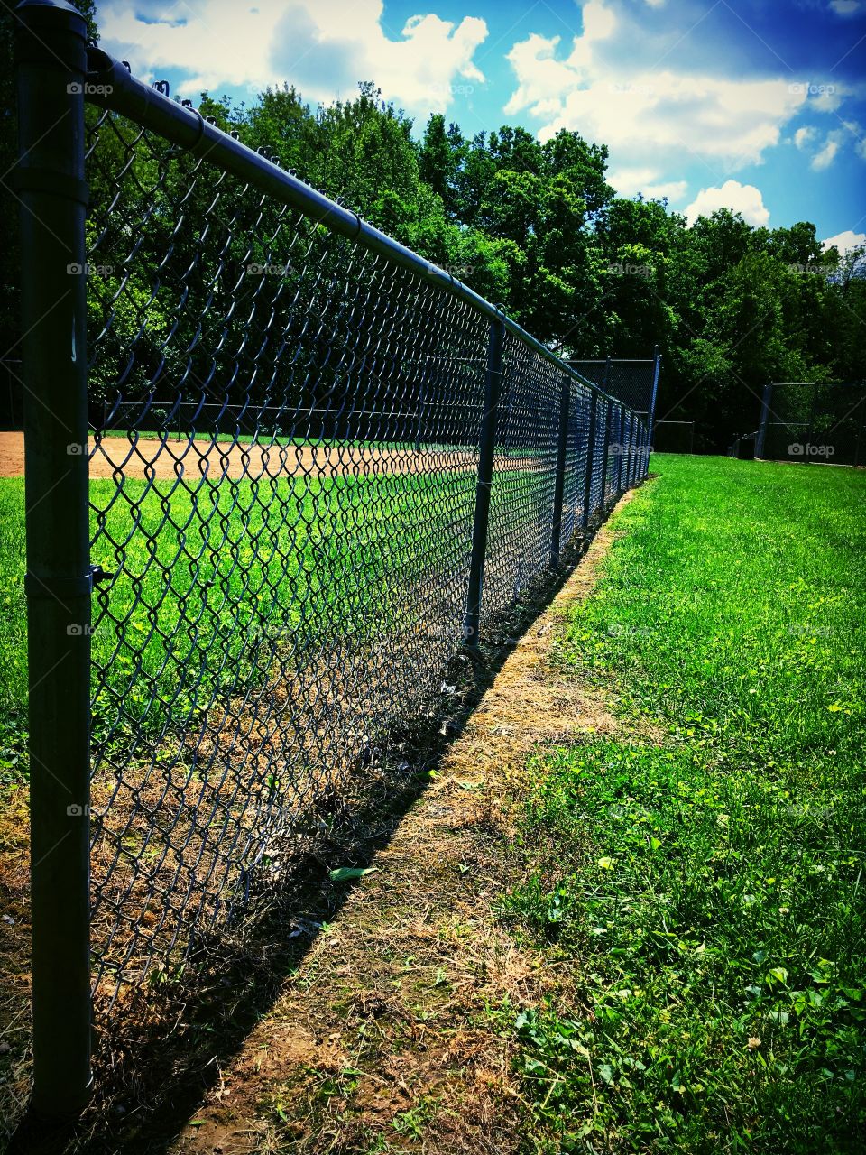 The grass is always greener