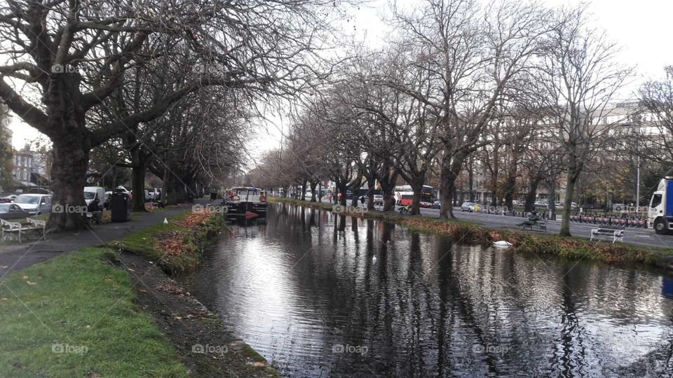 Natureza e modernidade se misturam.