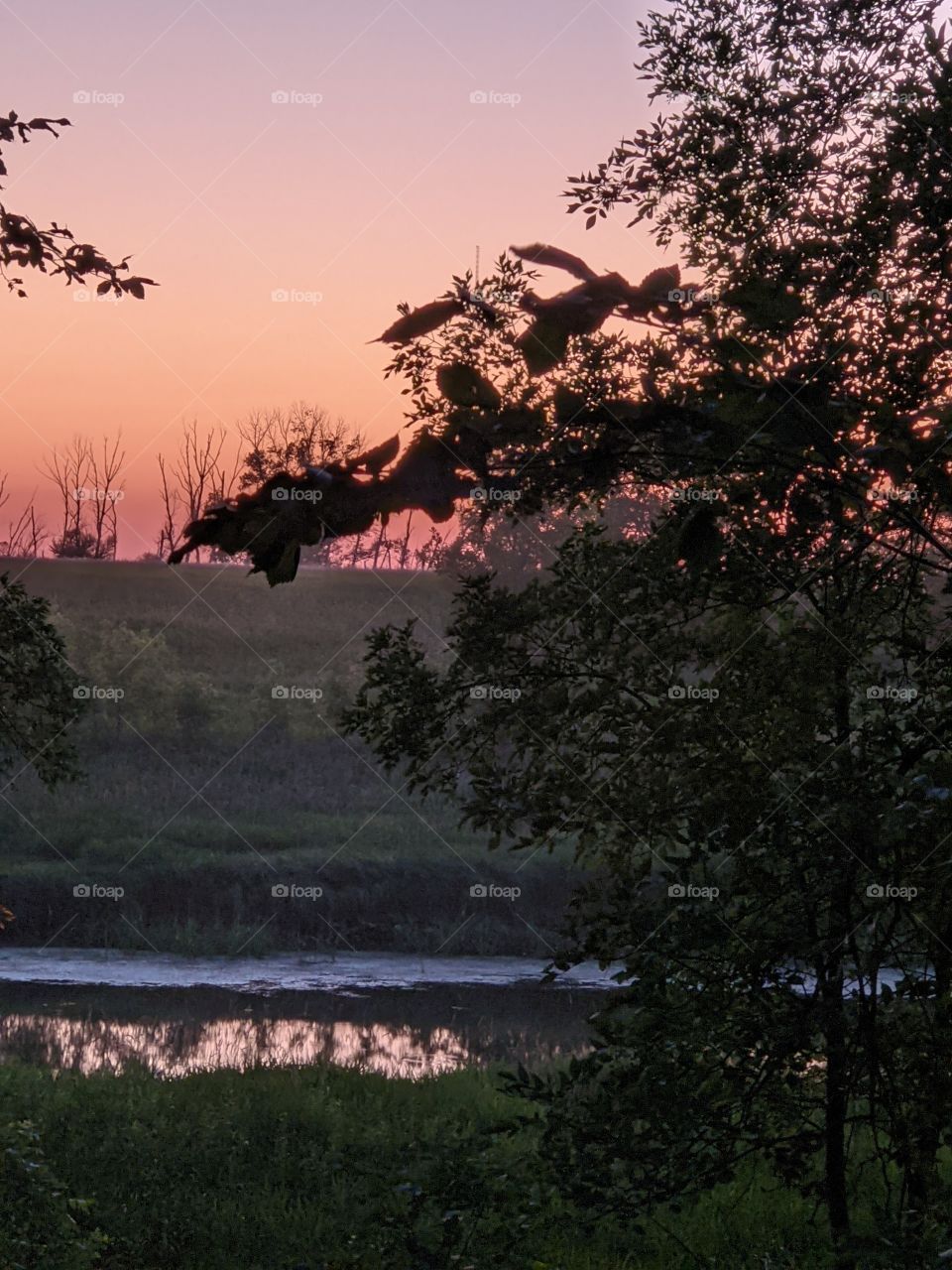 Sunset in the park