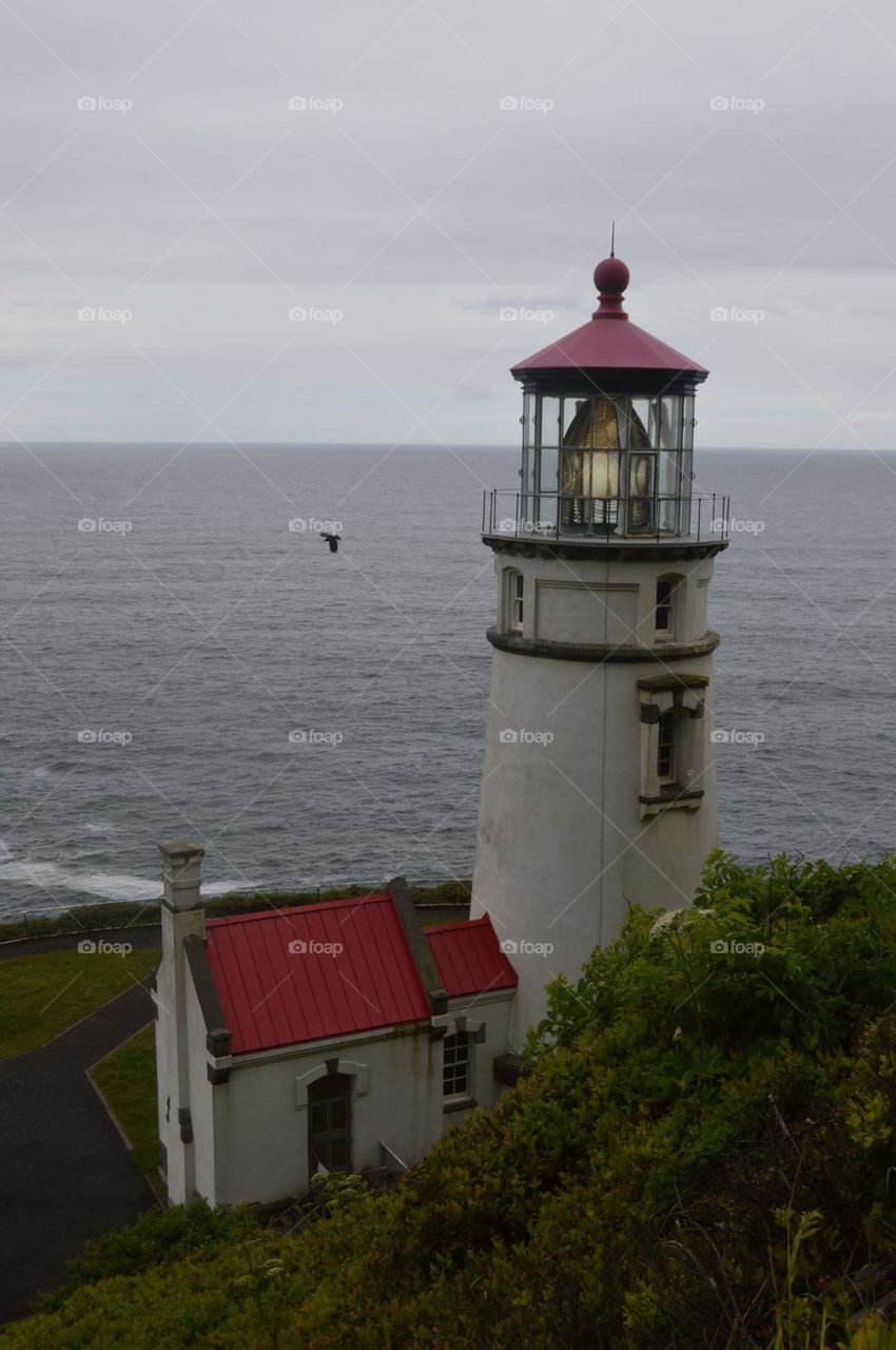 Hecta Head Lighthouse, N. Florence, OR