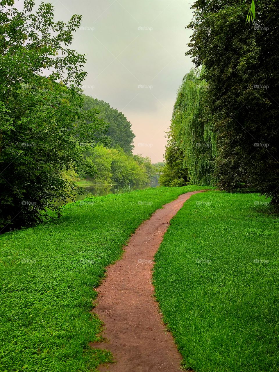 the brown trail winds like a snake among the green grass.  the park.  trail along the shore of the pond.  nature froze in anticipation of rain