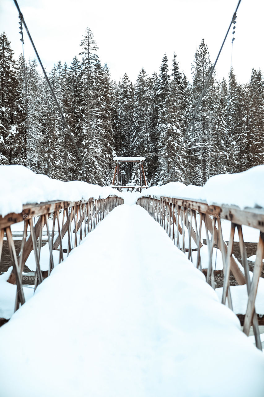 Snowy winter days in the mountains. Going on a nice morning hike up to a gorgeous mountain hot spring for a nice soak. 