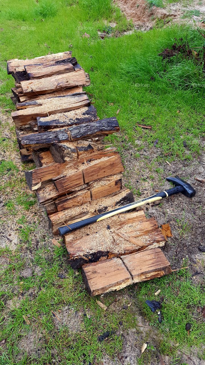 Freshly chopped wood in a pile.