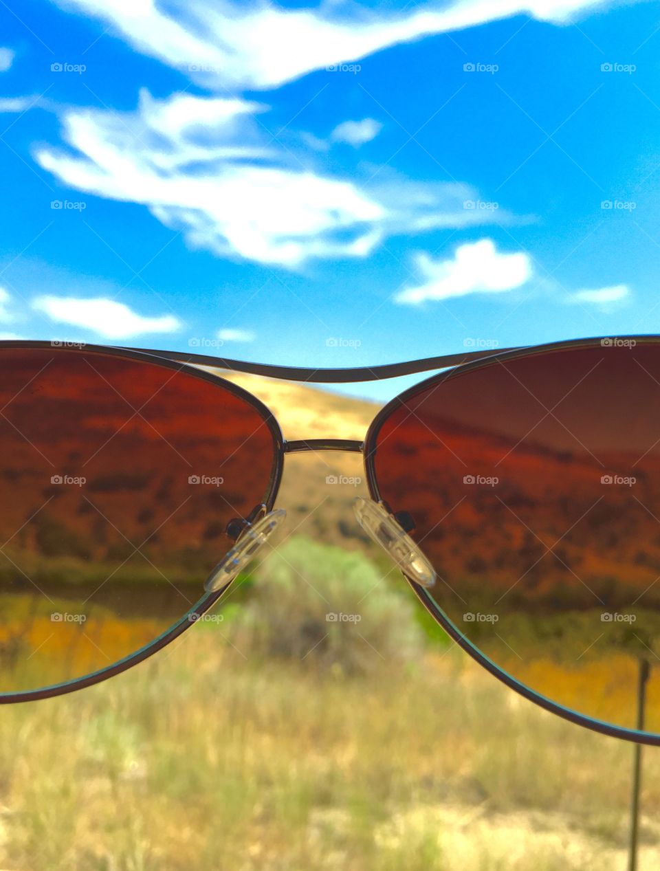 Through my Sunglasses. Summer Shades