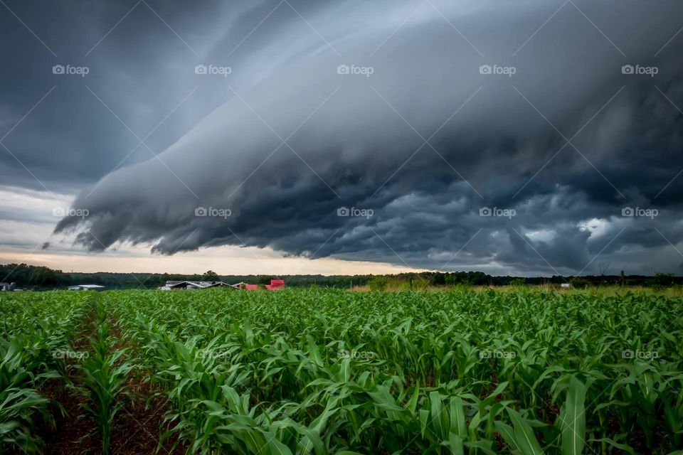 The fingers of a shelf cloud are reaching down to pluck the tiny buildings from the farm. Raleigh, North Carolina. 