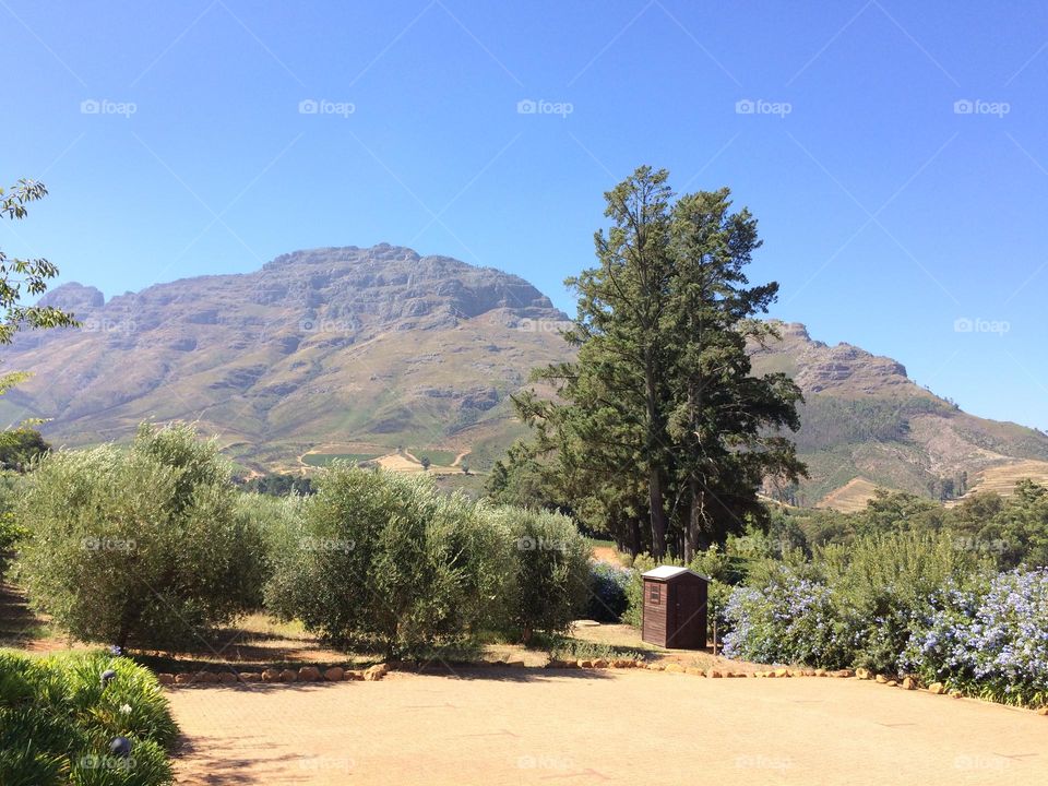 View from the hills and mountains and the flowers starting to blossom