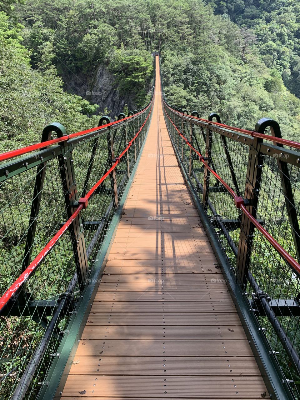 Would you take the risk?