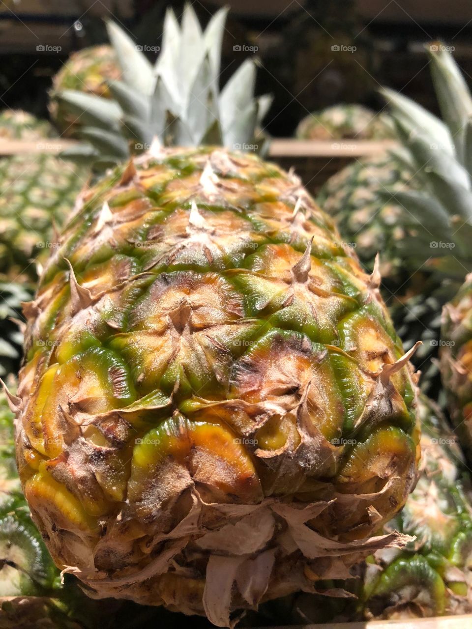 Ananas 