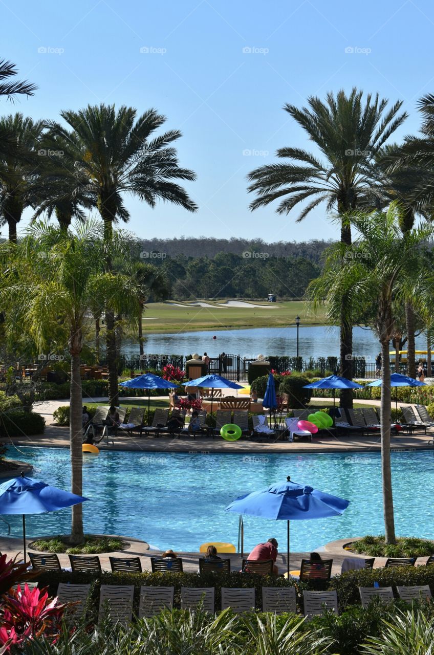 Swimming  Pool at the JW Marriott FL