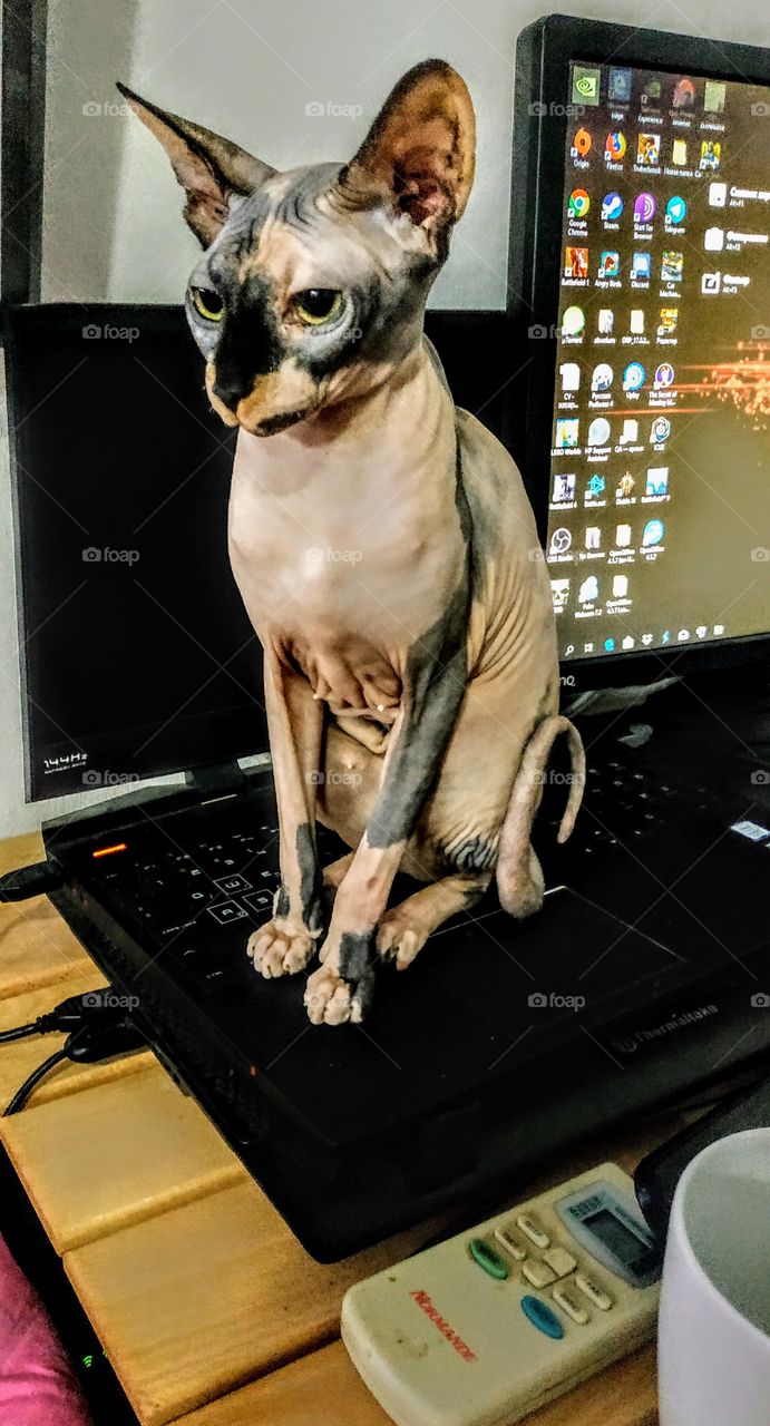 I’ll warm up and learn how to use the keyboard! Useful with pleasant !!!