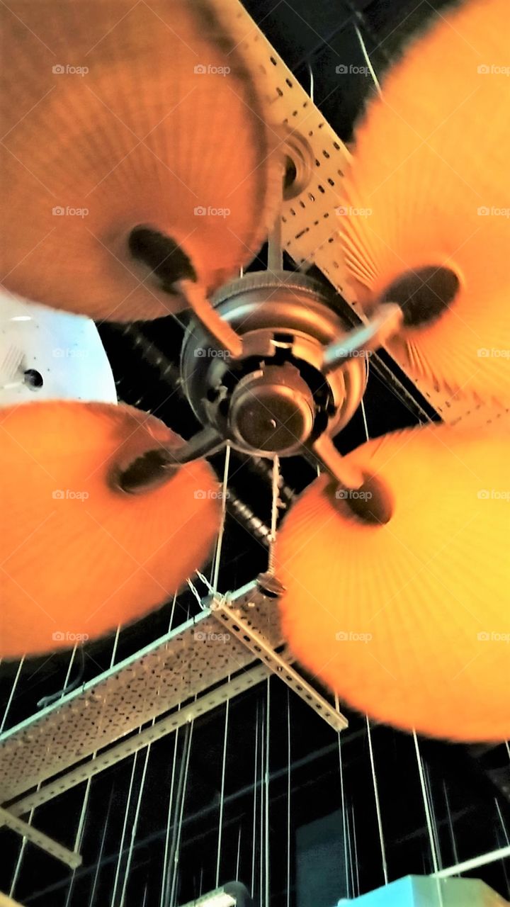 Ceiling Fan