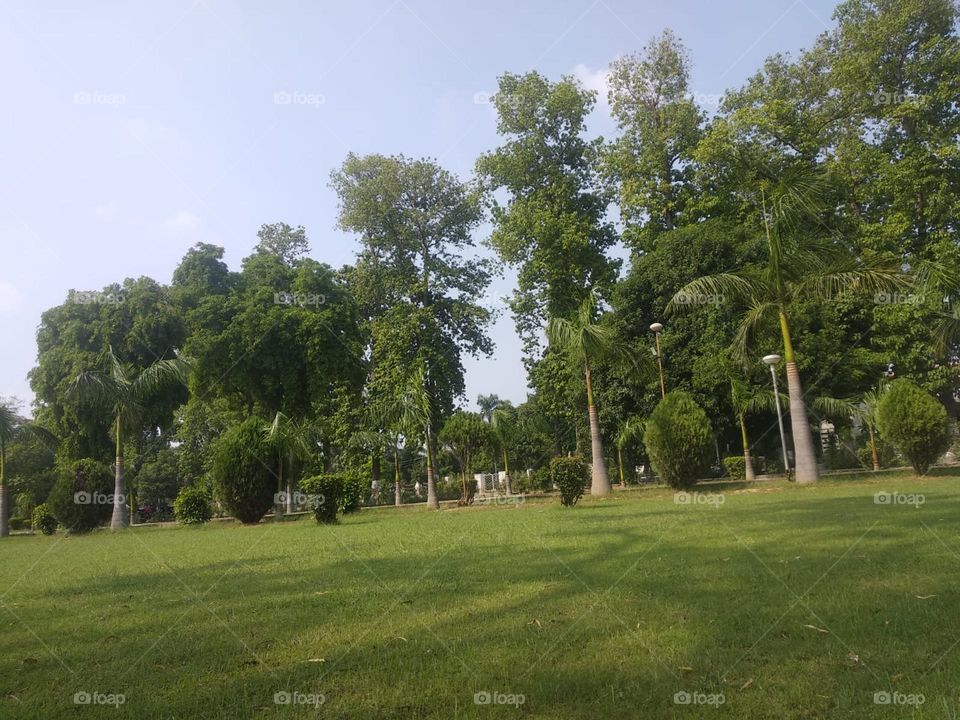 The green grass looks so inviting and fresh, perfect for a picnic or just lounging around! It's like nature's carpet ready for some outdoor fun. πΏπ