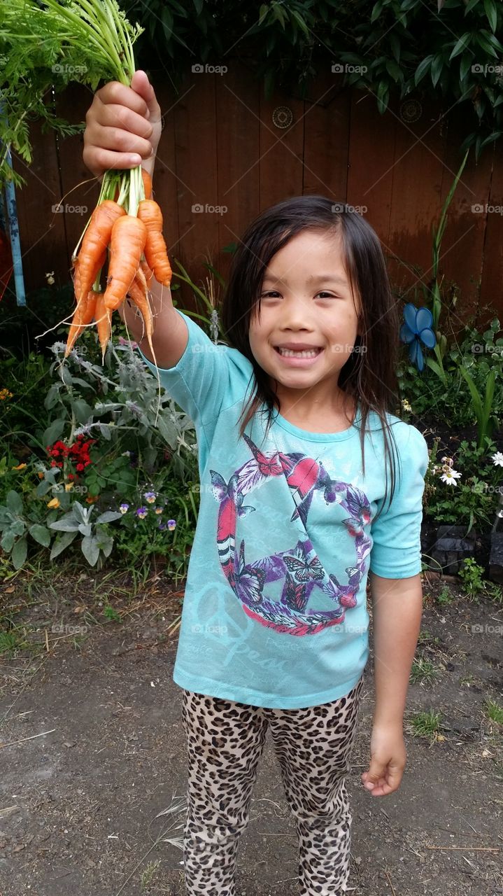 Organic Produce - Carrots