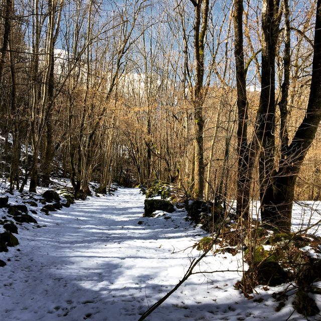Spring Run