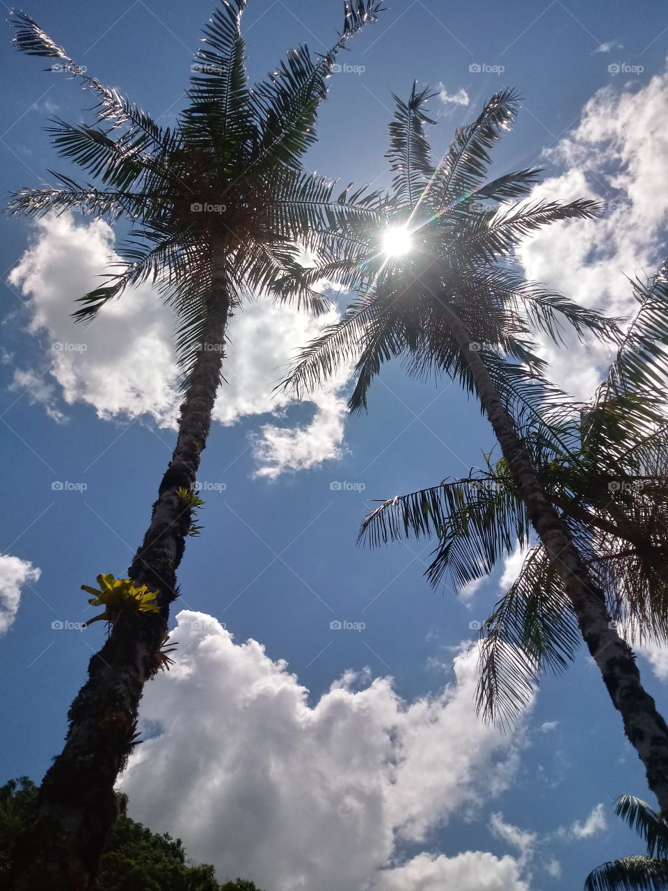 NATUR, UMWELT, LANDSCHAFT, PFLANZENWELT.