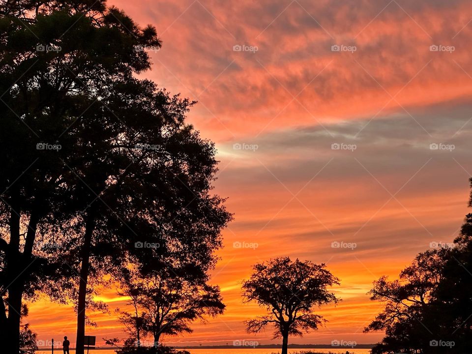 The glowing, descending setting sun gave a warm orange tinge to the sky and cast an iridescent shadow on the ground through an opening of the  trees