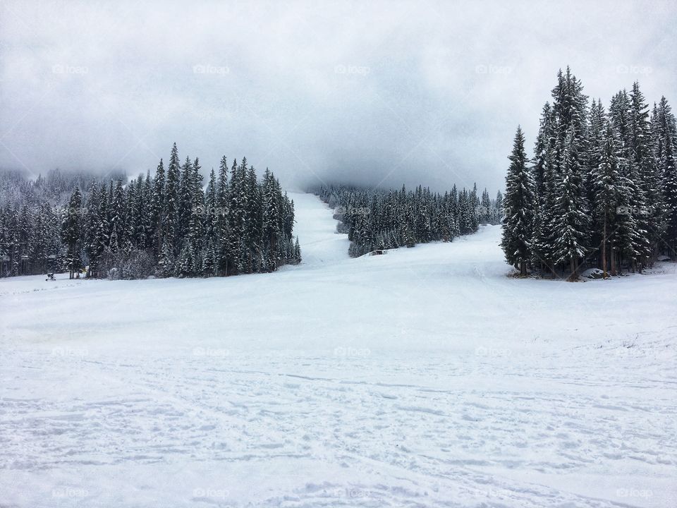 Morning sunpeaks walk! 