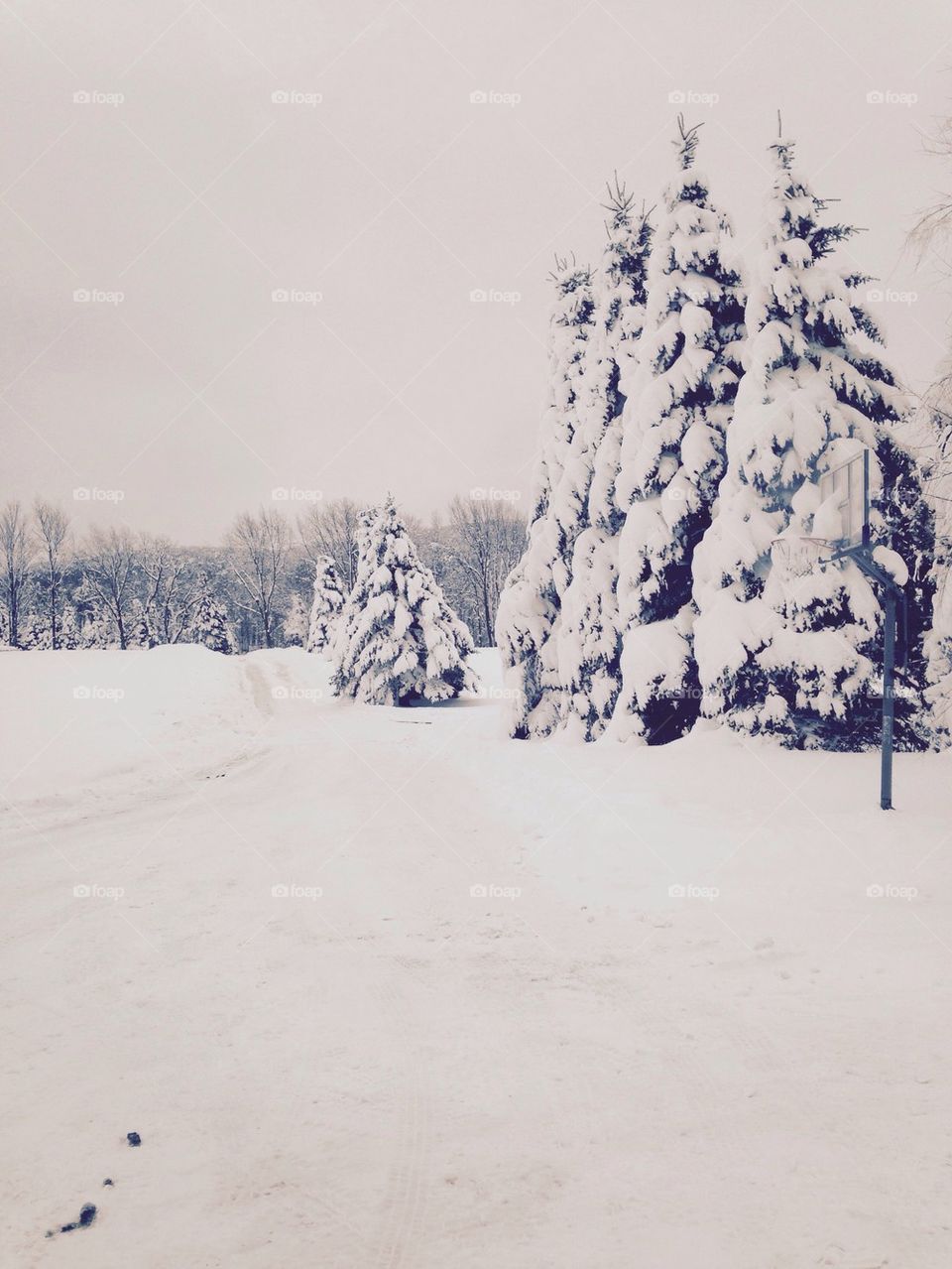 Vermont snowy day 