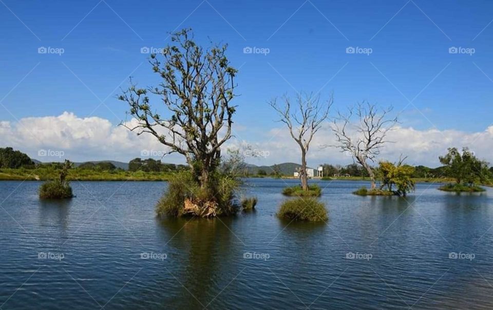 beautiful view from moyar dam