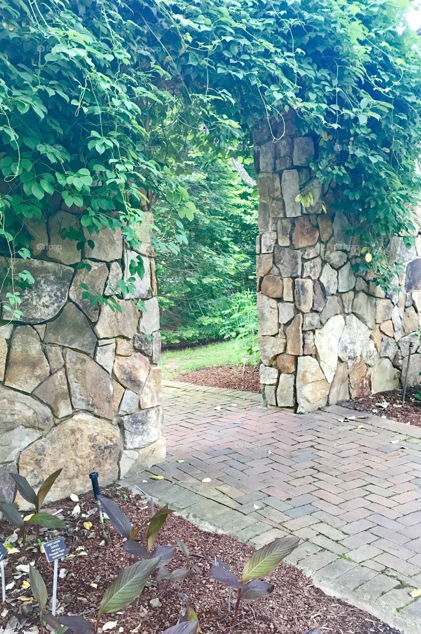 Ivy Covered Archway