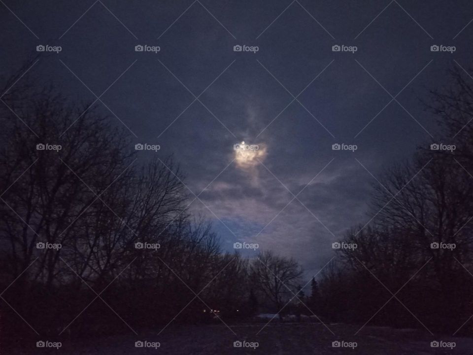 The moon in the night sky