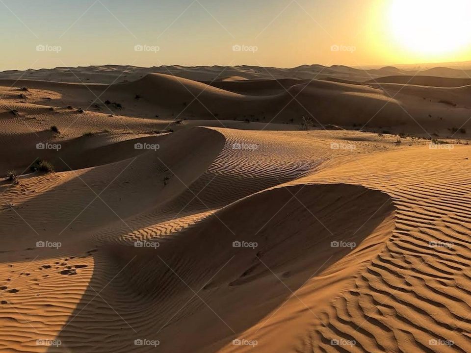 sahara ouarzazate morroco