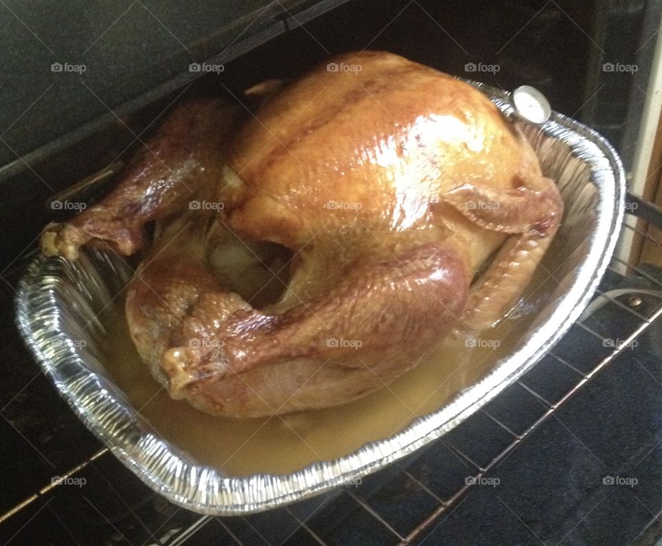Traditional American Dishes - Thanksgiving Turkey - Ready in the Oven!