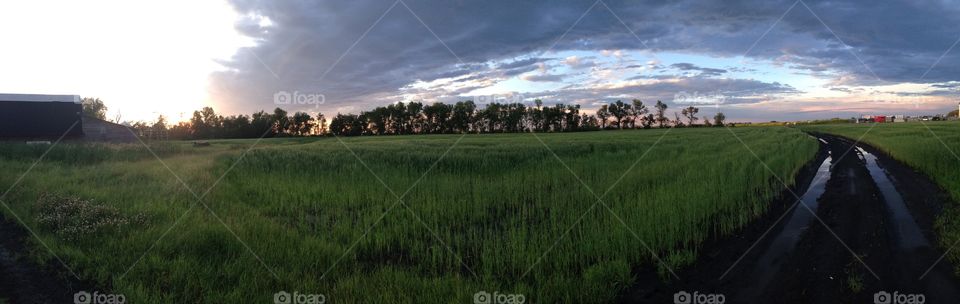 Out on the farm with family