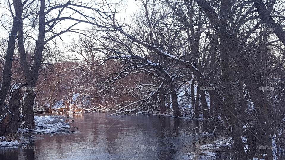 snowy river