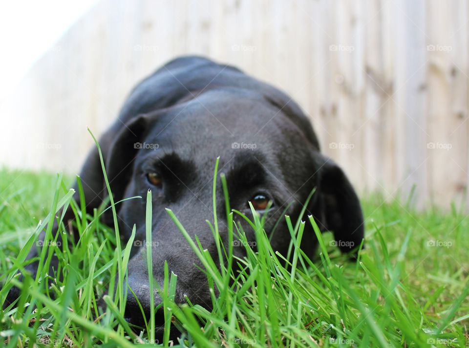 Nothing beats lazy afternoons in the backyard