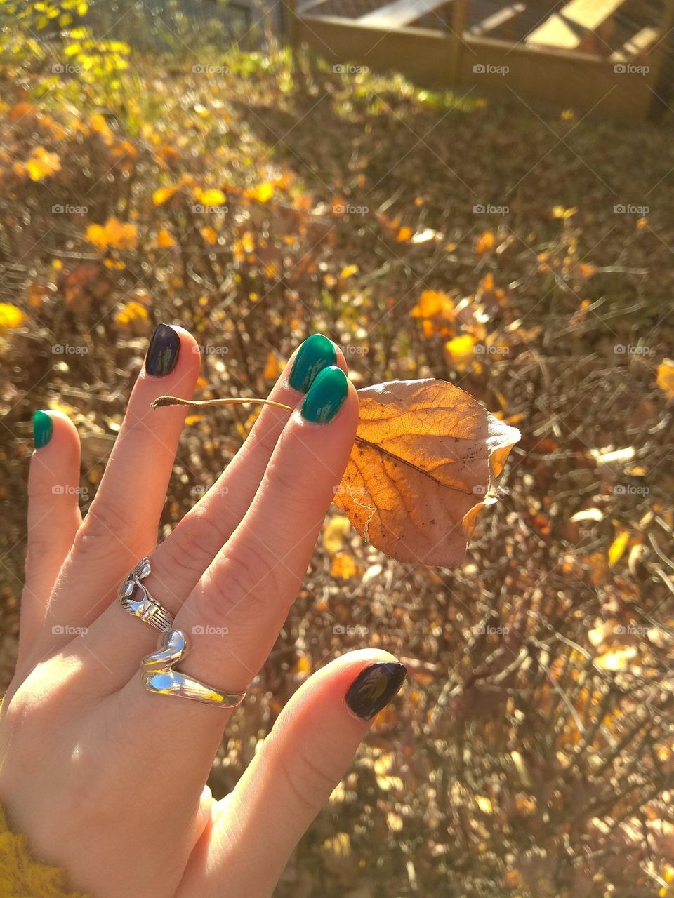 autumn manicure
